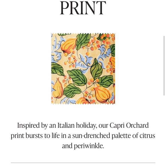 NWT Rhode Linen Tatum Dress Capri Orchard Print - Picture 6 of 6